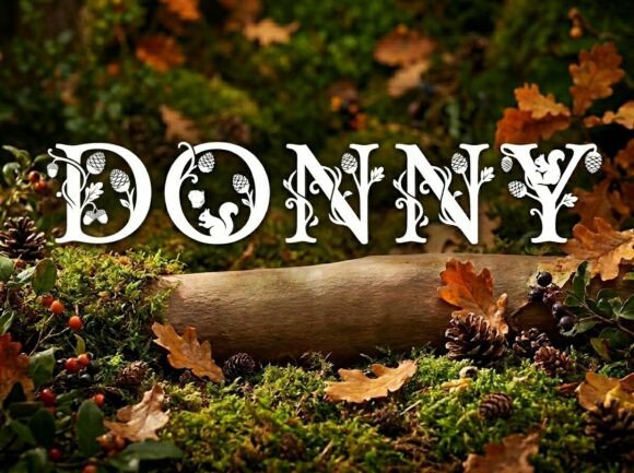 Donny: A Display Typeface for Bold Visual Statements